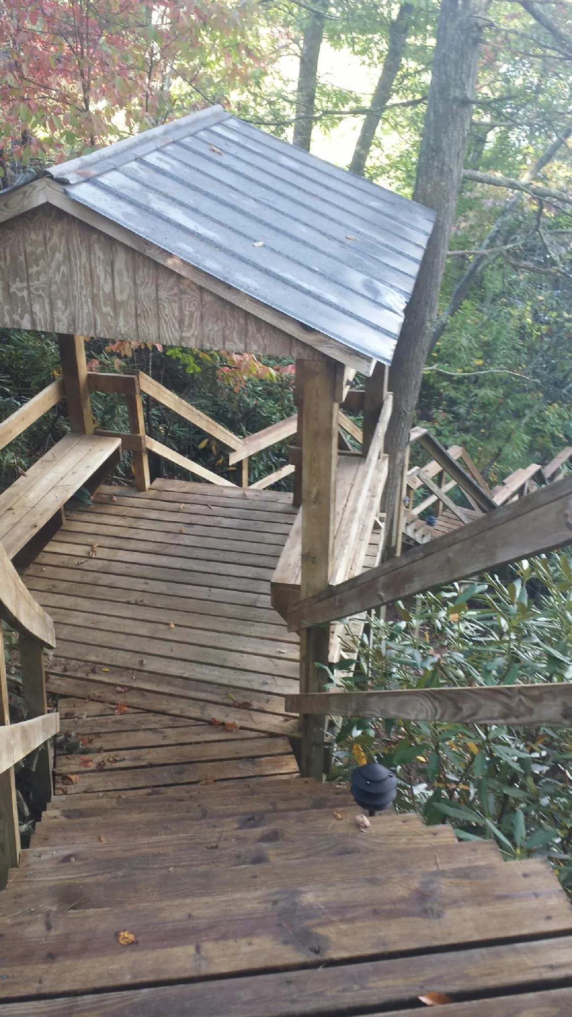 Metal roofed shelter over wooden steps on a wooded walkway — Skylight Repair & Installation work by our crew in Lovilia