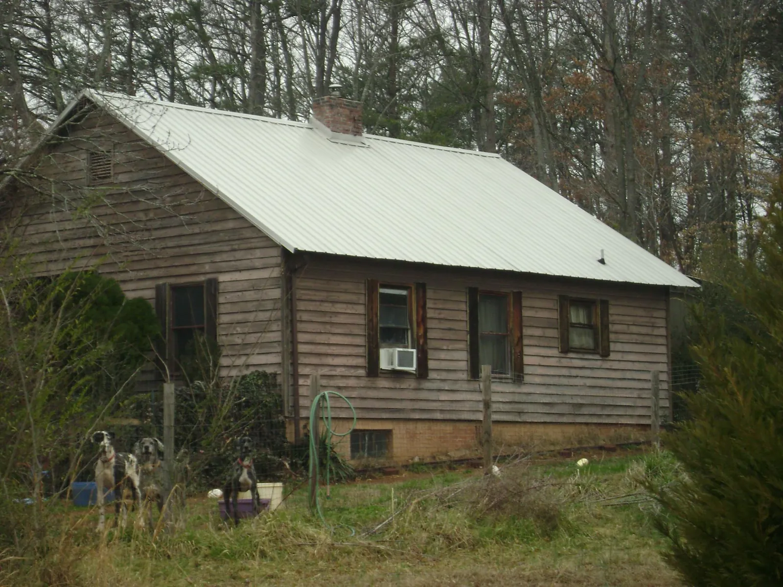 White metal roof on an old wood sided farmhouse, from a Asphalt Shingle Roof Repair job in Lovilia